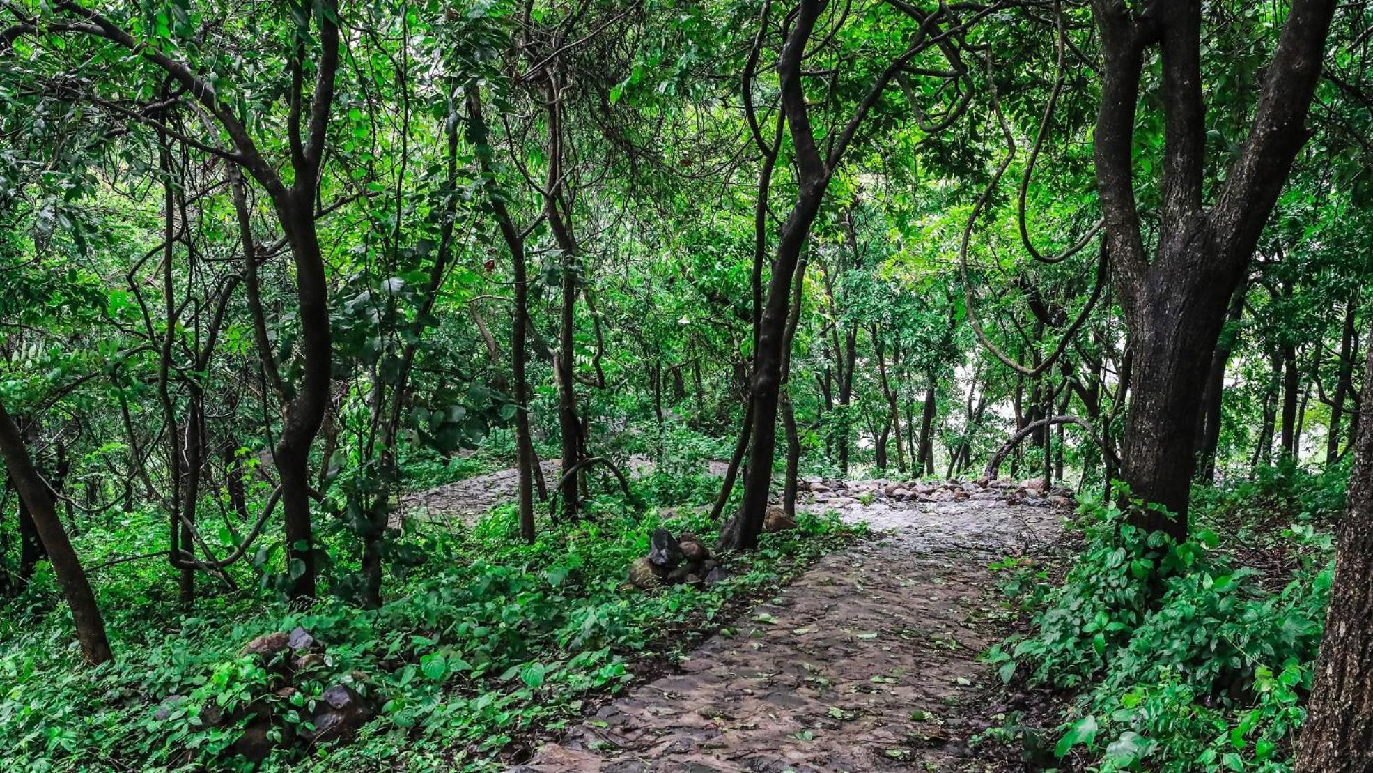 Misty Green Hills Parks & Resorts Kondotty Ngoại thất bức ảnh