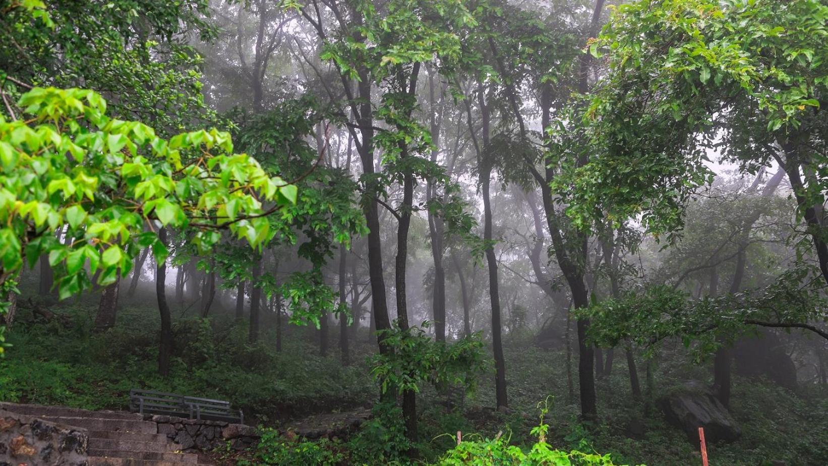 Misty Green Hills Parks & Resorts Kondotty Ngoại thất bức ảnh