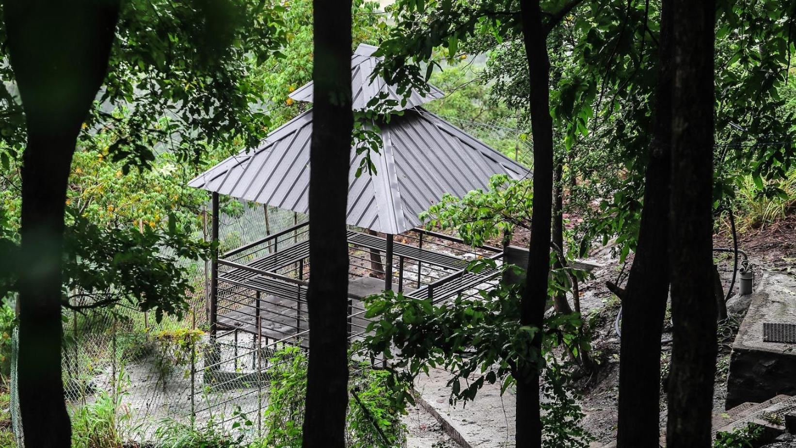 Misty Green Hills Parks & Resorts Kondotty Ngoại thất bức ảnh
