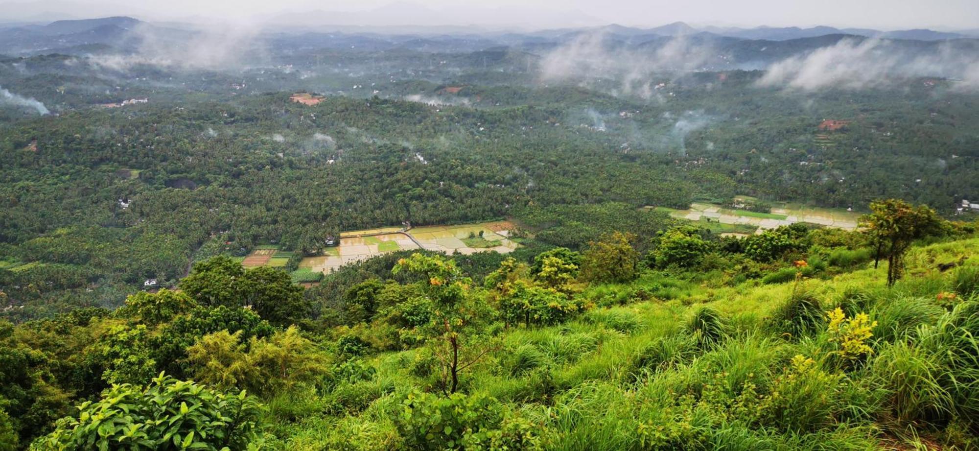 Misty Green Hills Parks & Resorts Kondotty Ngoại thất bức ảnh