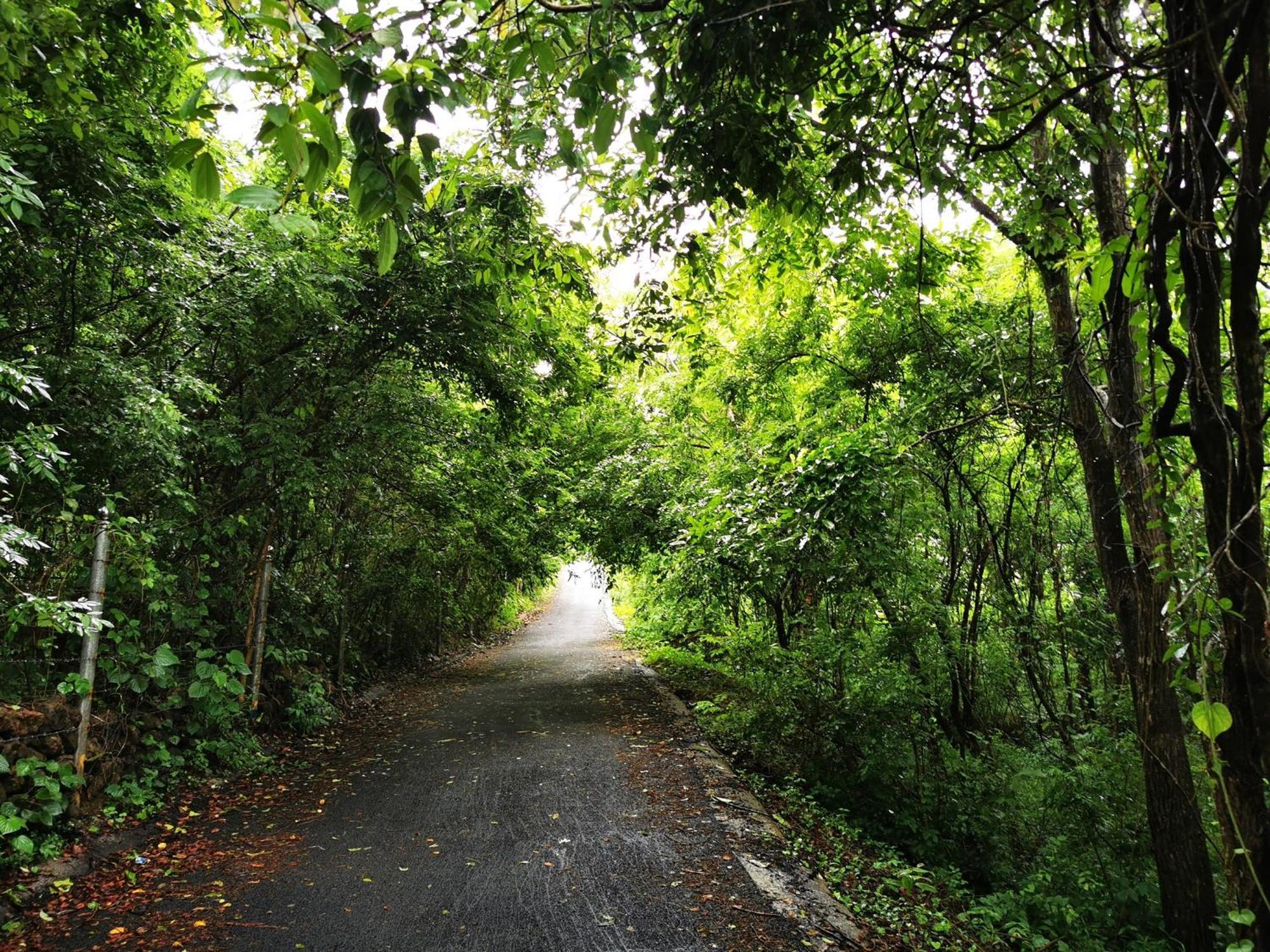 Misty Green Hills Parks & Resorts Kondotty Ngoại thất bức ảnh